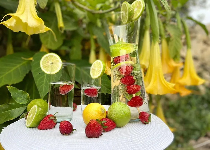 Retro With Pool 쇼키아