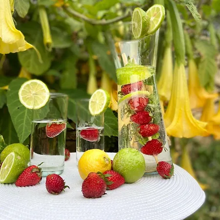 Retro With Pool Xewkija