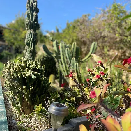 Casa de Férias Retro With Pool Xewkija