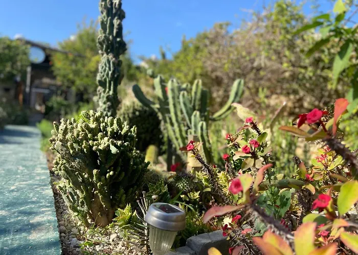 Σπίτι διακοπών Retro With Pool Xewkija